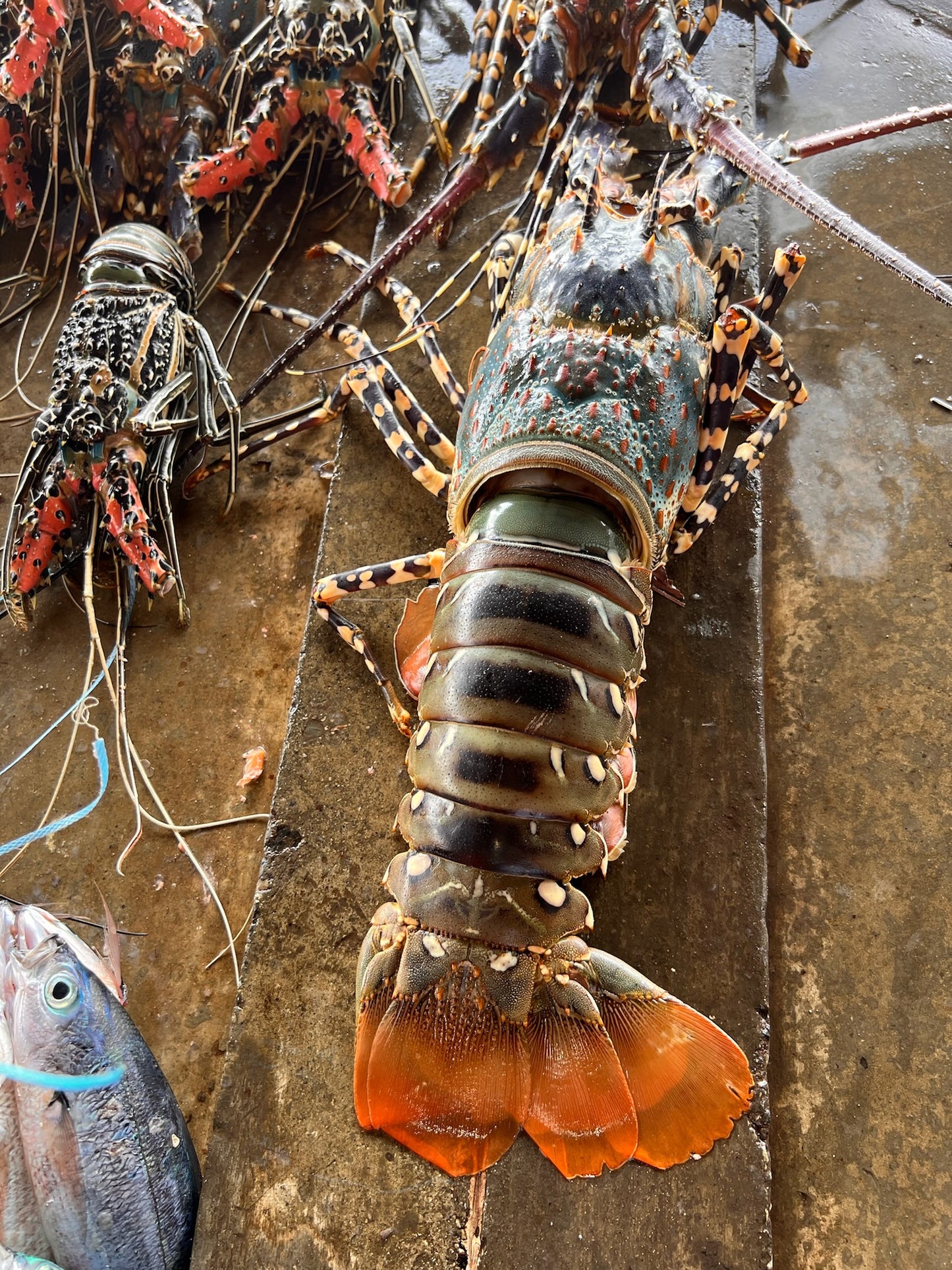 Authentic Cooking Class in Port Moresby