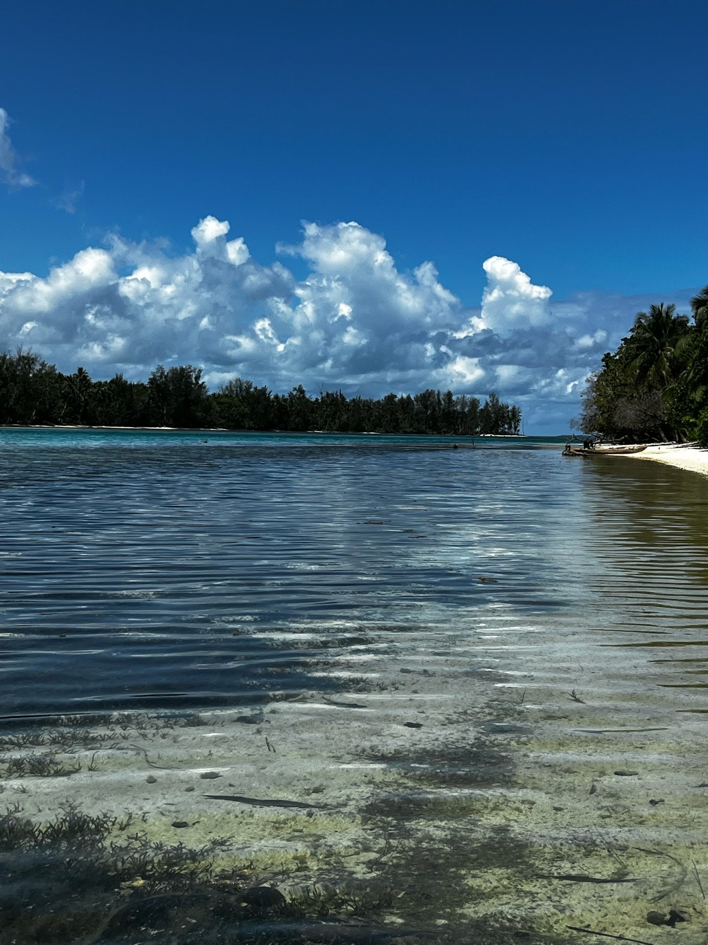 Island Paradise Glamping