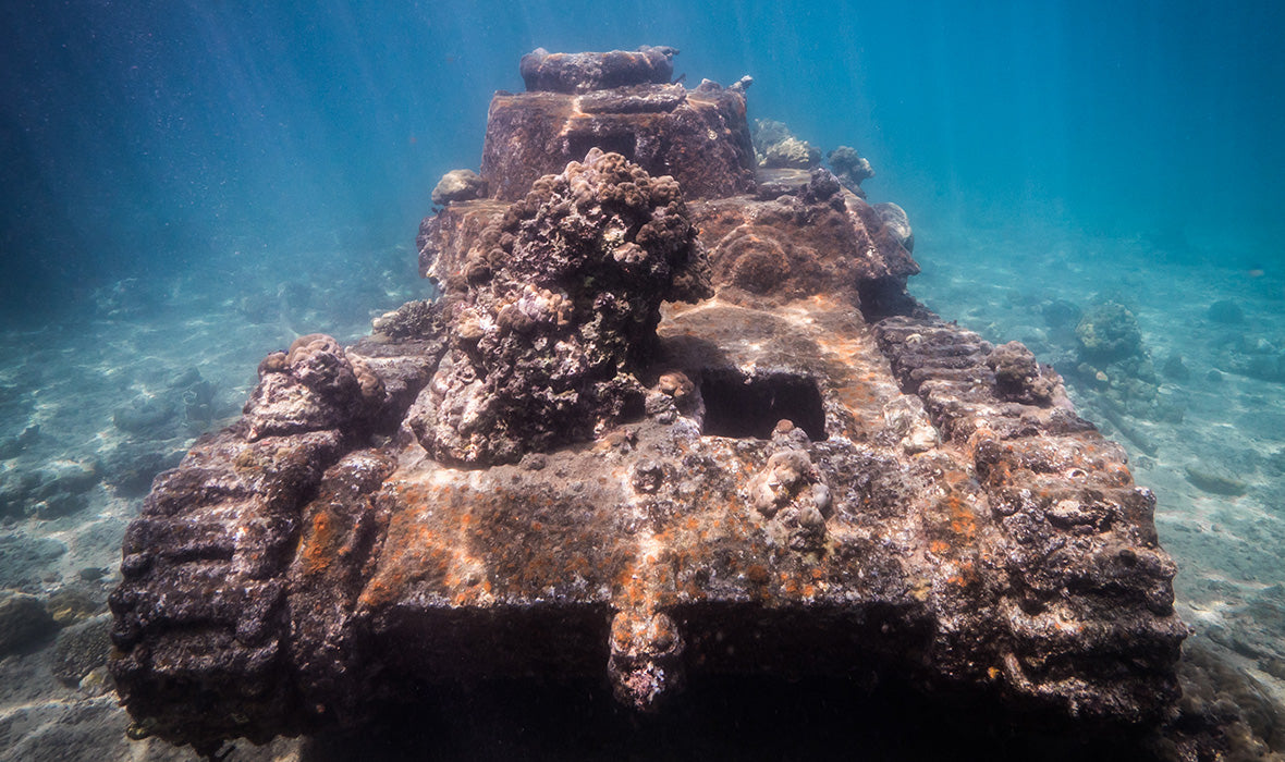 在巴布亚新几内亚新爱尔兰岛潜水