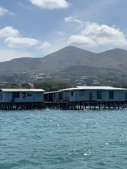 Hanuabada Village Tour leaving from Port Moresby