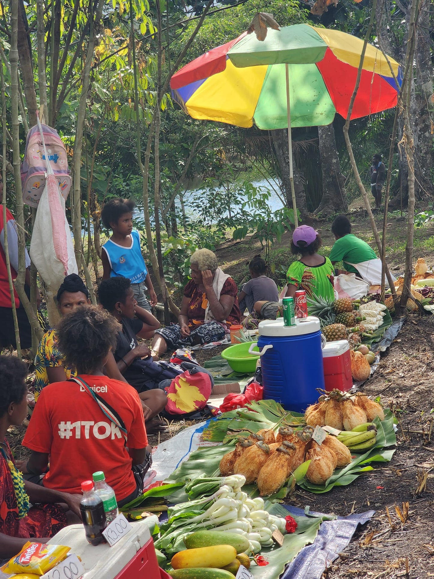 Excursión de un día a las cascadas de Overadobu