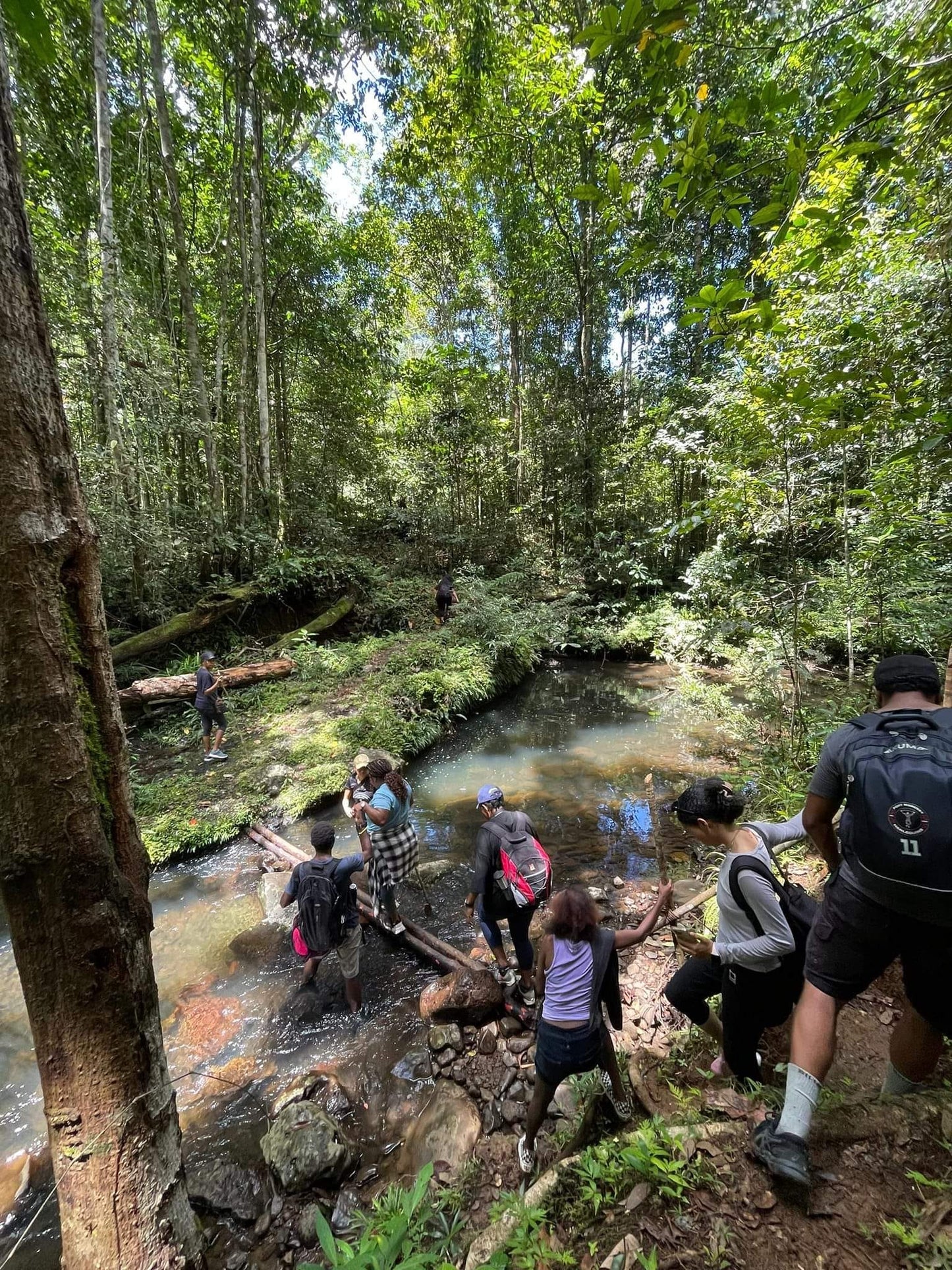 Excursión de un día a las cascadas de Overadobu