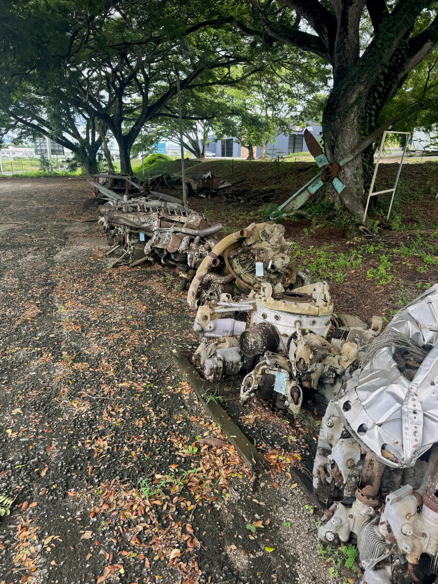 WW2 Tour Port Moresby